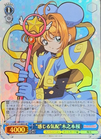 CCS/W113-085S SR Sakura
