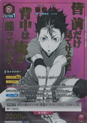UA19BT/HIQ-1-094 SR ☆ Nishitani Yuu
