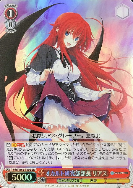 Fdd/W65-T10S SR Rias