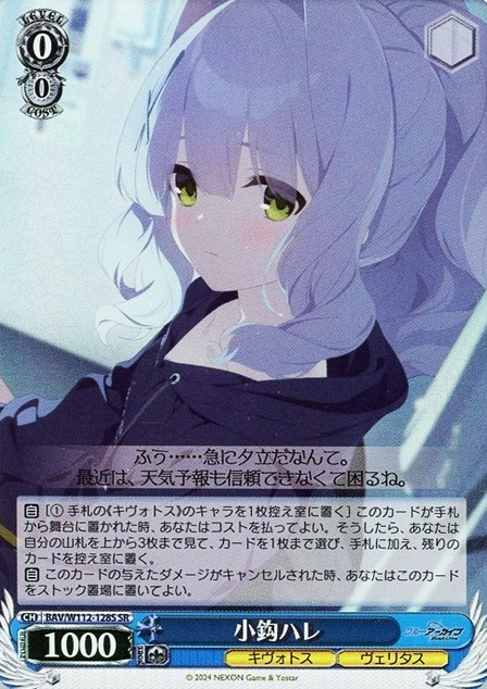 BAV/W112-128S SR Omagari Hare