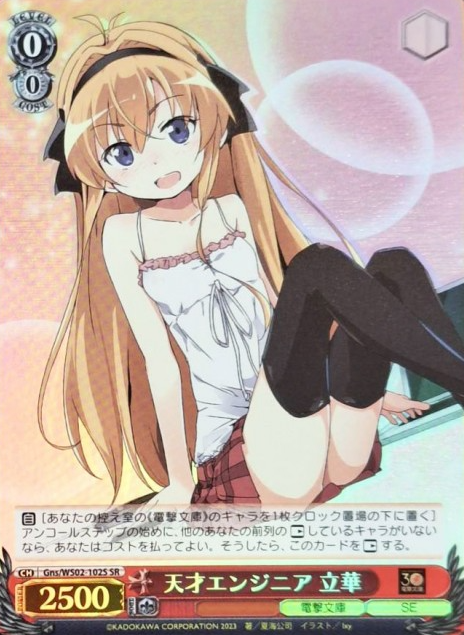 Gns/WS02-102S SR Rikka