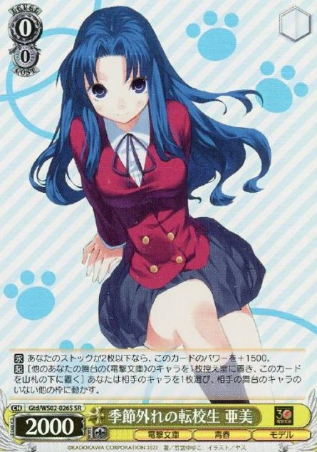 Gtd/WS02-026S SR Ami