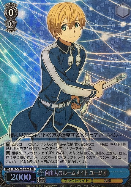 SAO/S65-070S SR Eugeo