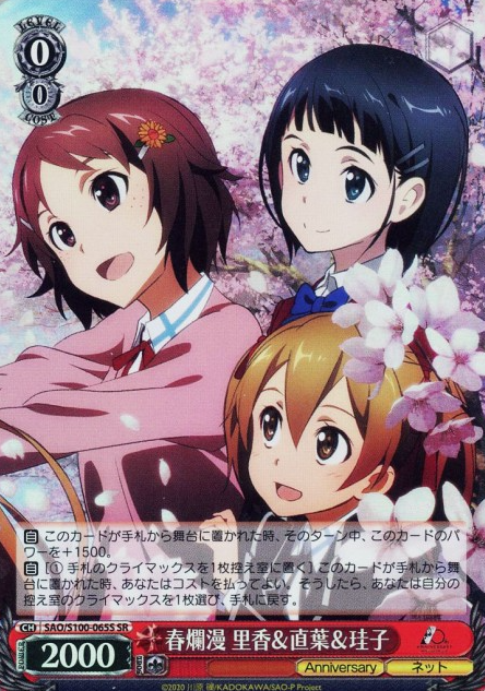 SAO/S100-065S SR Rika Suguha Keiko