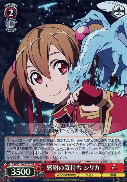SAO/S100-070S SR Silica