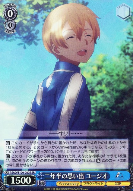 SAO/S100-080S SR Eugeo