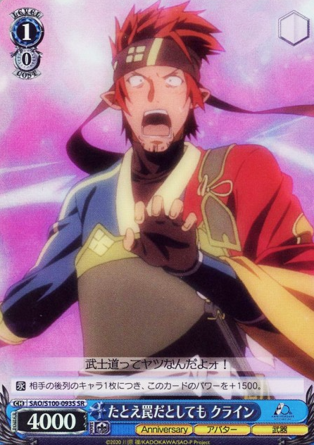 SAO/S100-093S SR Klein
