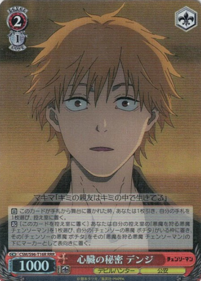 CSM/S96-T16 RRR Denji