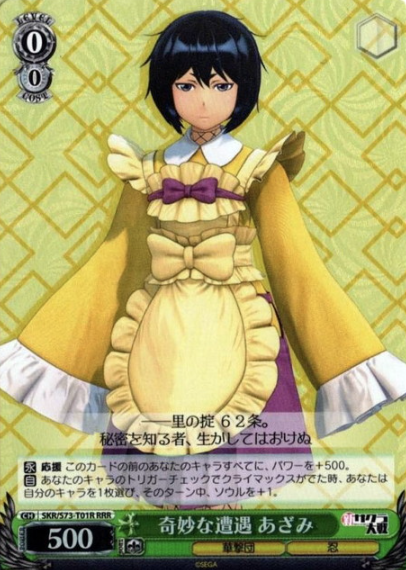 SKR/S73-T01R RRR Azami