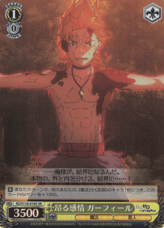 RZ/S116-018S SR Garfiel