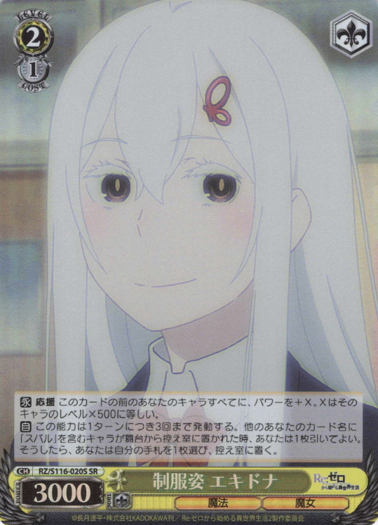 RZ/S116-020S SR Echidna