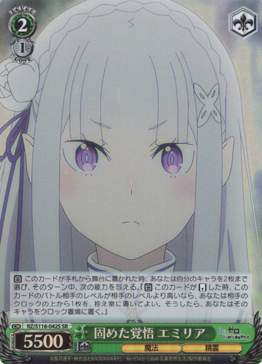RZ/S116-042S SR Emilia