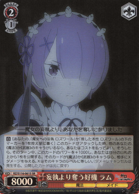RZ/S116-061S SR Ram
