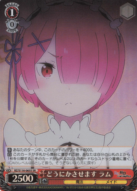 RZ/S116-065S SR Ram