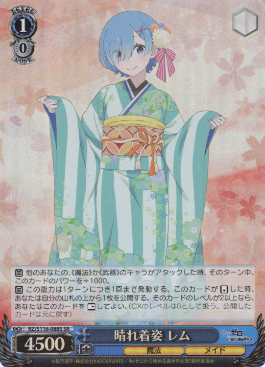 RZ/S116-088S SR Rem