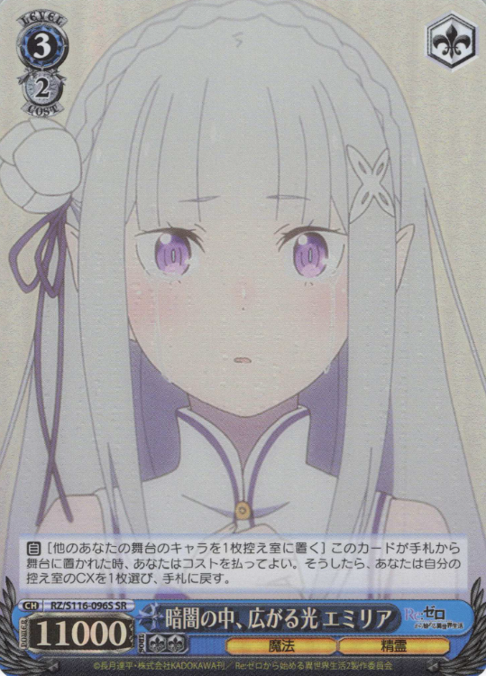 RZ/S116-096S SR Emilia