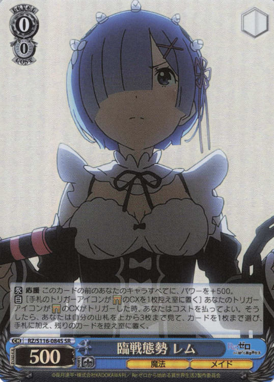 RZ/S116-084S SR Rem