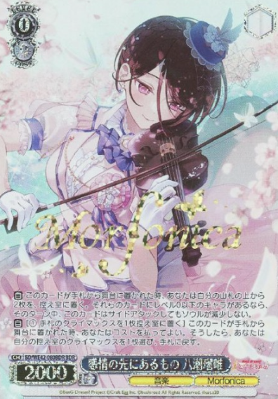 BD/WE42-080BDR BDR Yashio Rui