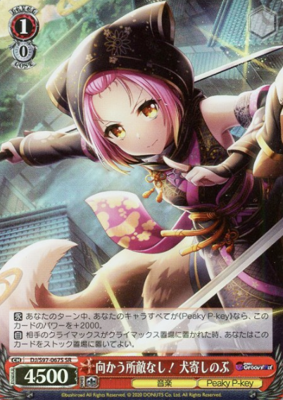 DJ/S97-067S SR Inuyose Shinobu