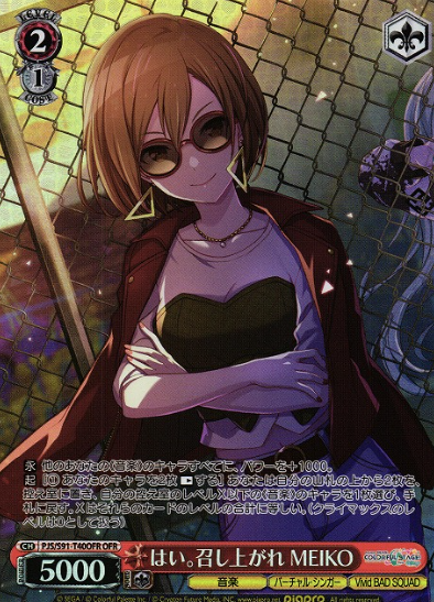 PJS/S91-T40OFR OFR Meiko