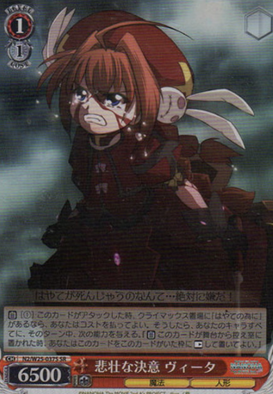 N2/W25-037S Vita