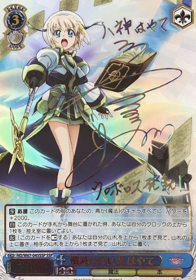 ND/W67-045SSP SSP Hayate