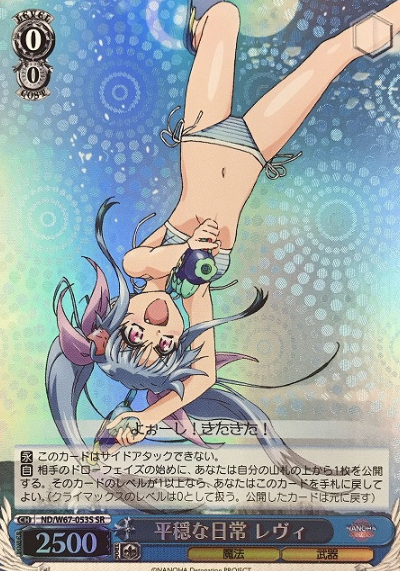 ND/W67-053S SR Levi
