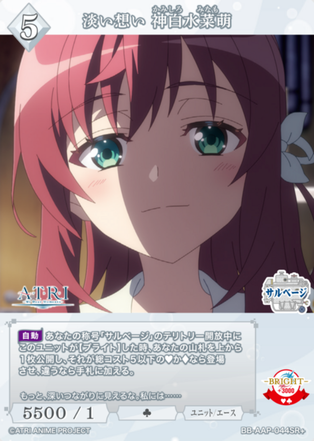 BB-AAP-044SR+ SR+ Kamishiro Minamo
