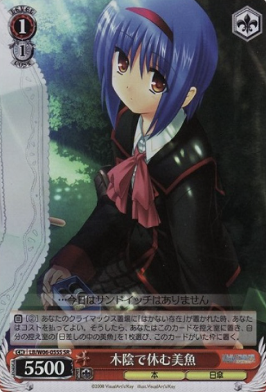 LB/W06-055S SR Mio