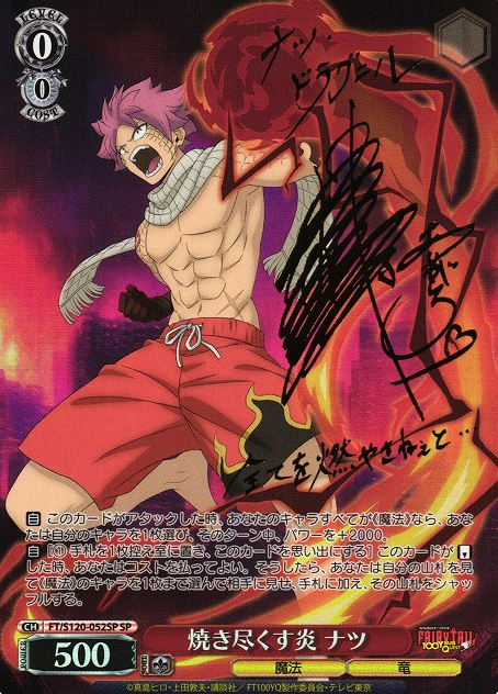 FT/S120-052SP SP Natsu