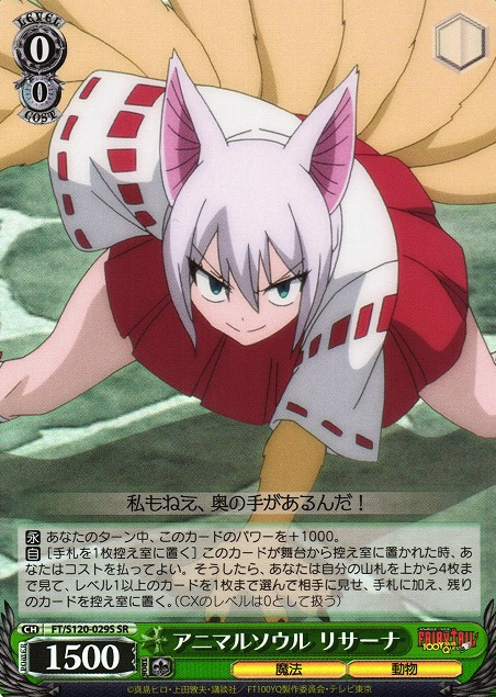 FT/S120-029S SR Lisanna