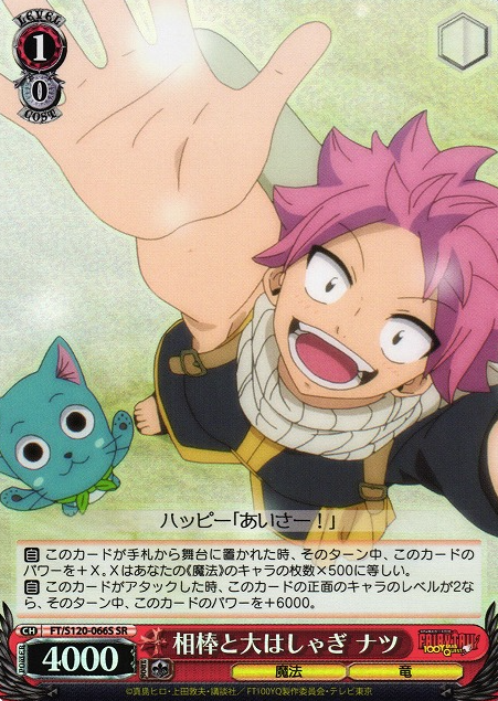 FT/S120-066S SR Natsu
