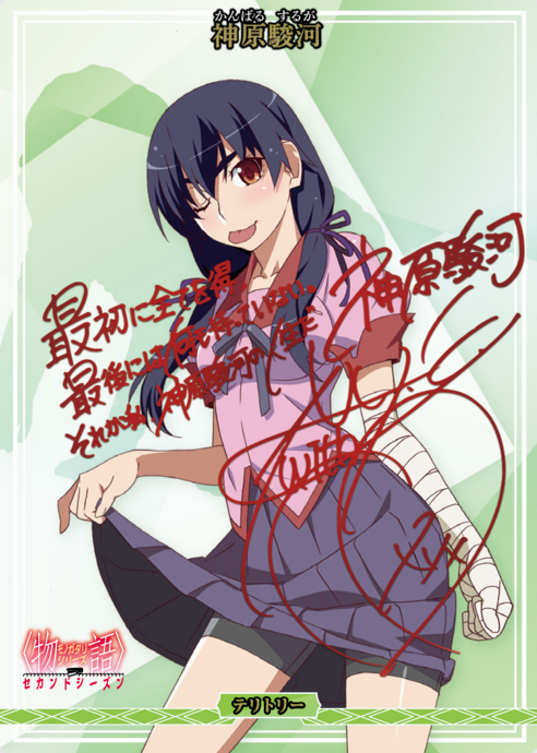 BB-MGS2 BT Kanbaru Suruga