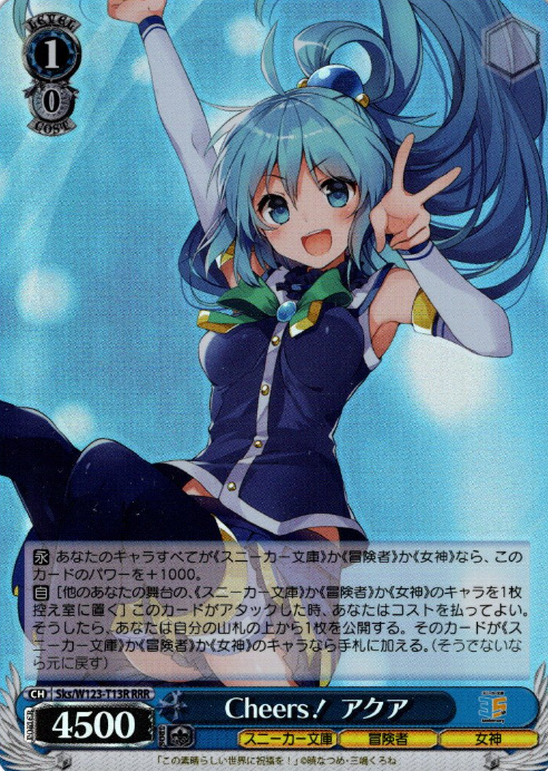 Sks/W123-T13R RRR Aqua