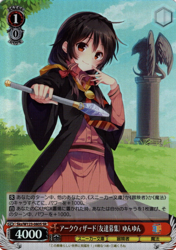 Sks/W123-080S SR Yunyun