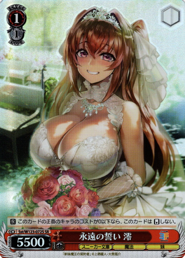 Sst/W123-072S SR Mio