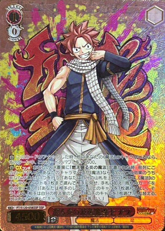 FT/S120-058SSP SSP Natsu