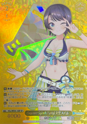 HOL/WE44-10 SP Oozora Subaru
