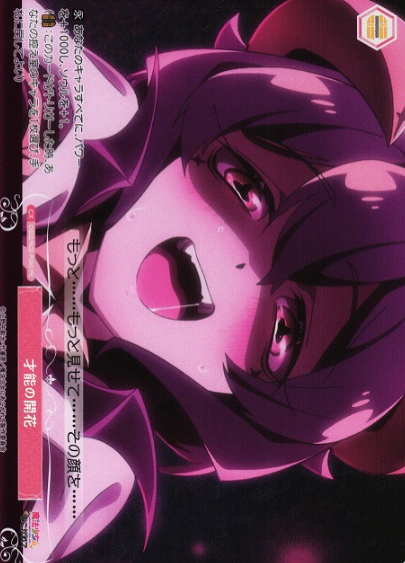 OS02/R02-P09S PR Magia Baiser