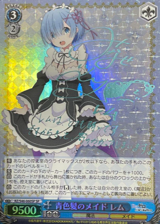 RZ/S46-060SP SP Rem