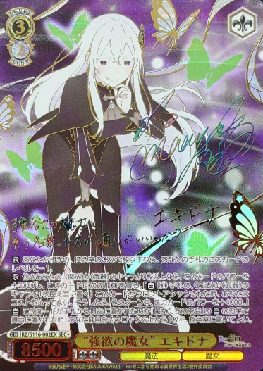 RZ/S116-002EX SEC+ Echidna
