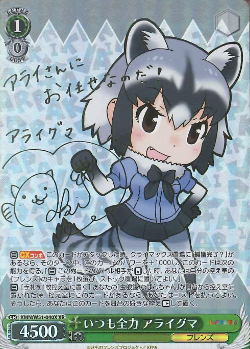KMN/W51-040X XR Raccoon