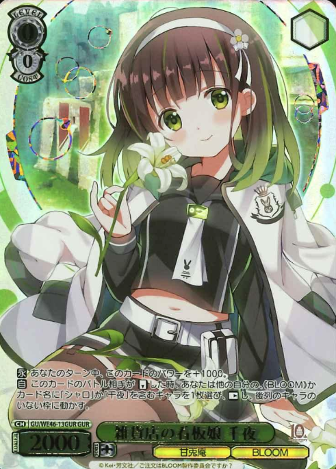 GU/WE46-13GUR GUR Chiya