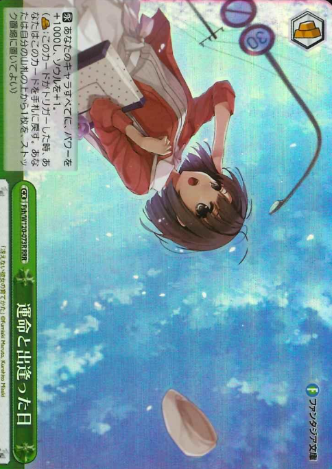 Fsh/W120-073R RRR Megumi