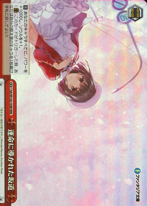Fsh/W120-109R RRR Megumi