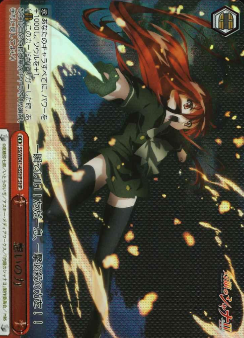 SS/WE41-45SHP SHP Shana
