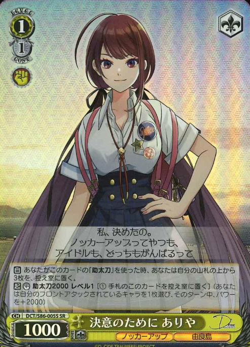 DCT/S86-005S SR Ariya