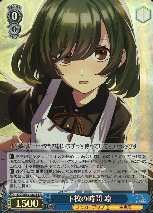 DCT/S86-087S SR Rin