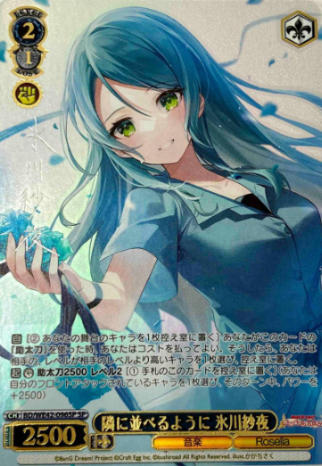 BD/WE42-096 SP Hikawa Sayo
