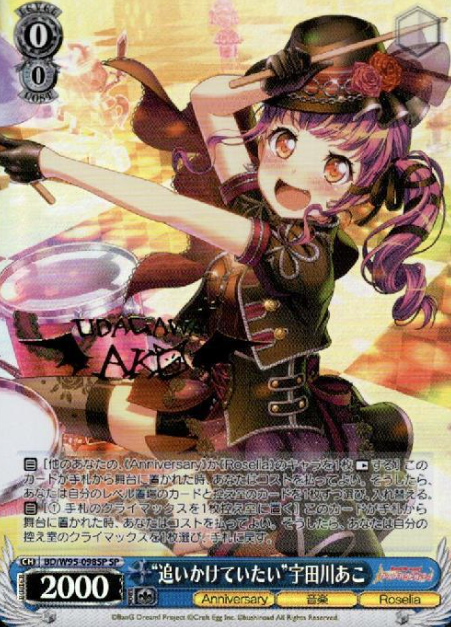 BD/W95-098SP SP Udagawa Ako